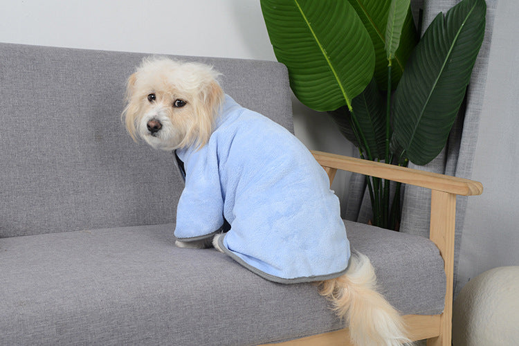 Dog wearing the blue drying robe, side view