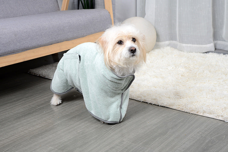 Dog wearing the green drying robe, front view